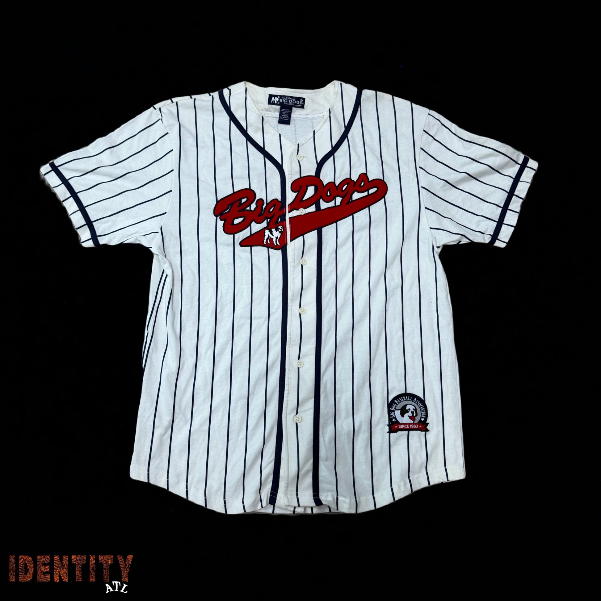 Vintage Big Dog Tee