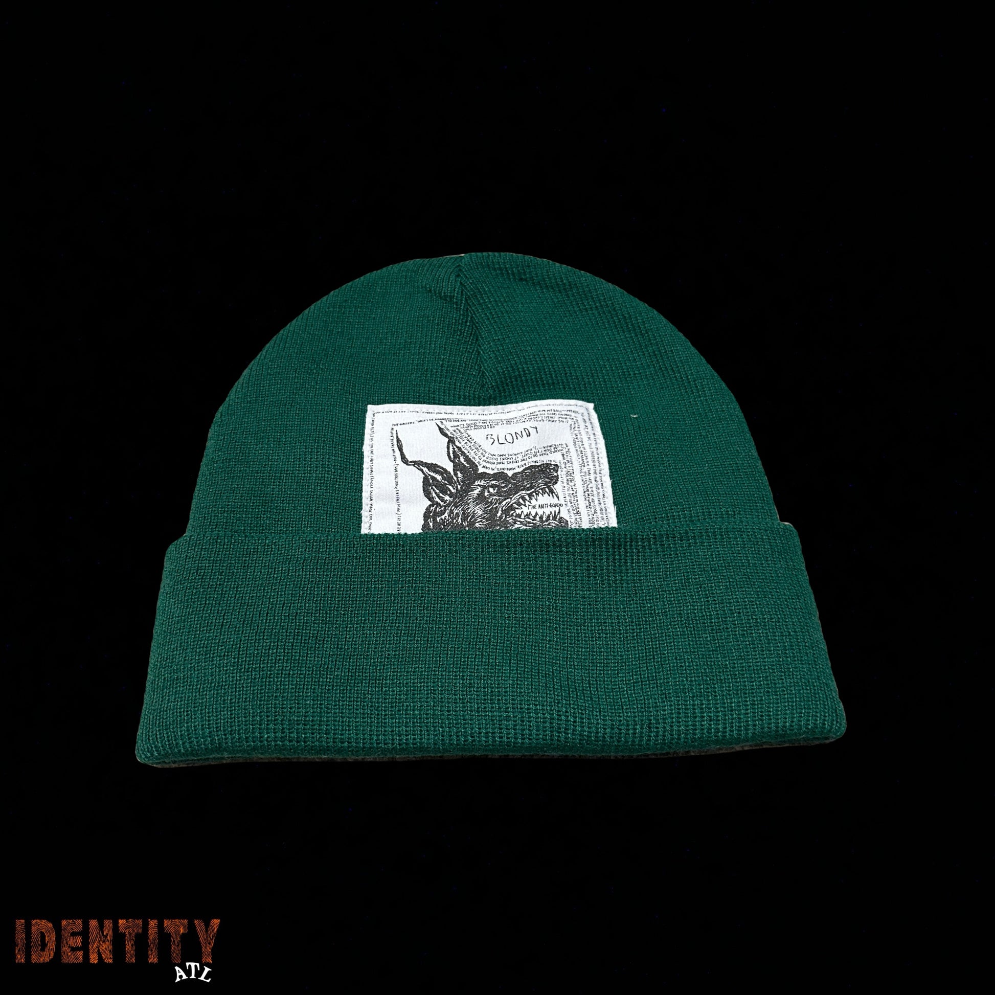 Supreme The North Face Beanie (FW24) Green