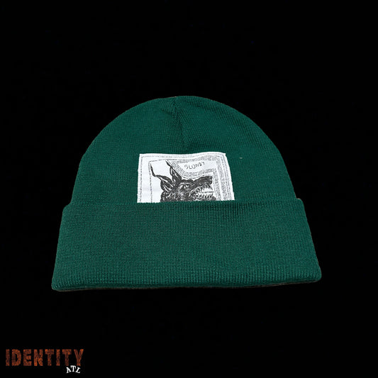 Supreme The North Face Beanie (FW24) Green